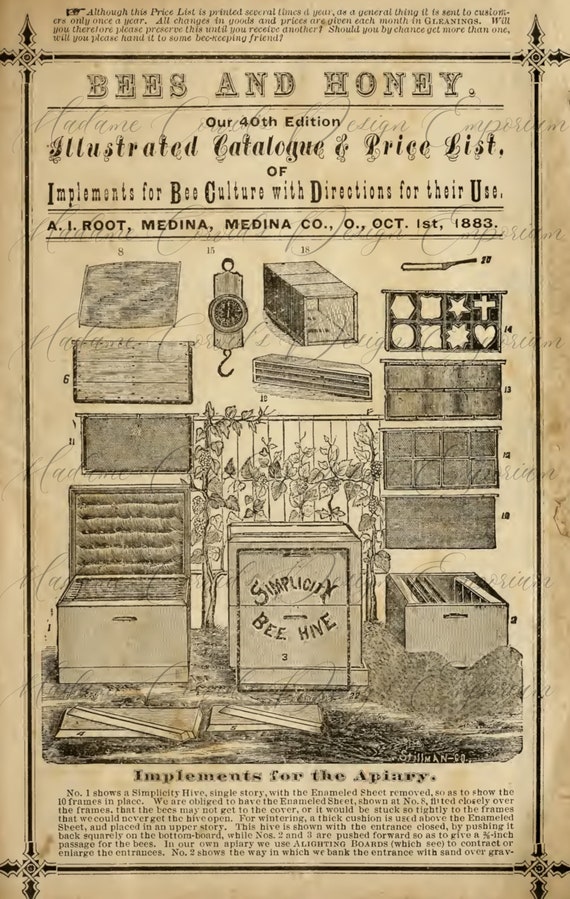 Page From Illustrated Beekeeping Supply Catalog A.I. Root Etsy
