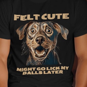 Felt Cute Might Go Lick My Balls Later Shirt,Naughty Dog Lover Tee, Gag Gift for Dog Owners,Rude Dog Licking His Balls Gifts
