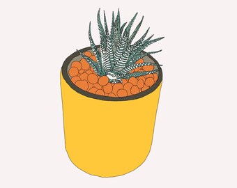 Zebra Plant Illustration