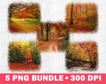 Fall Landscape PNG, Forest Background Clipart, Fall Floral Clipart, Autumn Flower Clipart, Fall Sublimation, Landscape Background Clipart