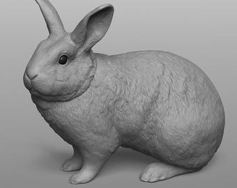 3D Printable Bunny STL – Dual Color AMS Ready – Cute Animal Figure with Separate Eyes & Body – Multicolor Bunny Model for 3D Printing