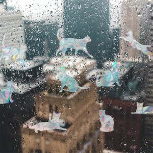 Könnte beinhalten: Ein Fenster mit Regentropfen darauf, verziert mit regenbogenfarbenen holografischen Katzenaufklebern. Die Katzen sind in verschiedenen Posen, darunter sitzend, stehend und springend.