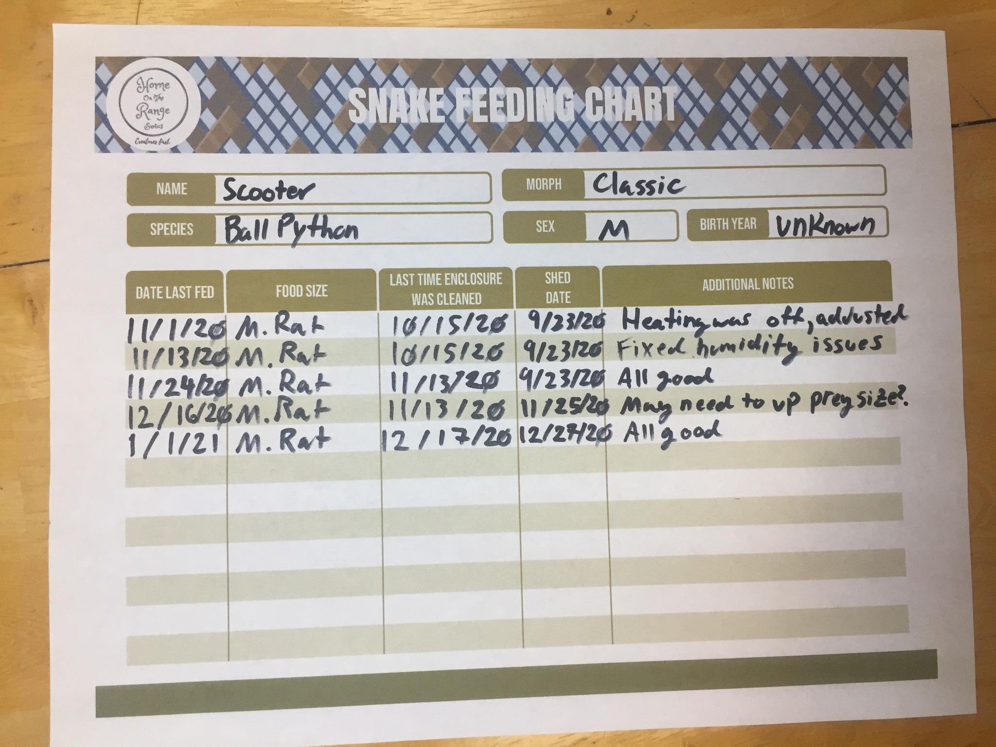 Snake Feeding Chart Template