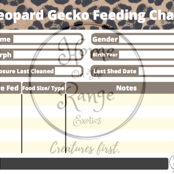 gecko-feeding-chart-etsy