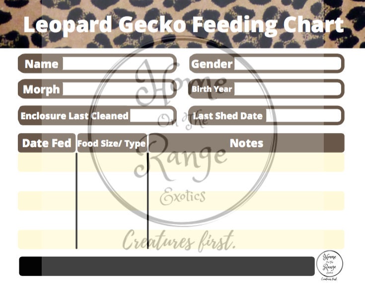 Leopard Gecko Feeding Chart - Etsy