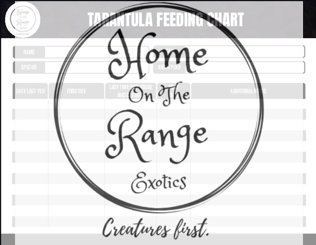 Single Tarantula Feeding Chart Etsy