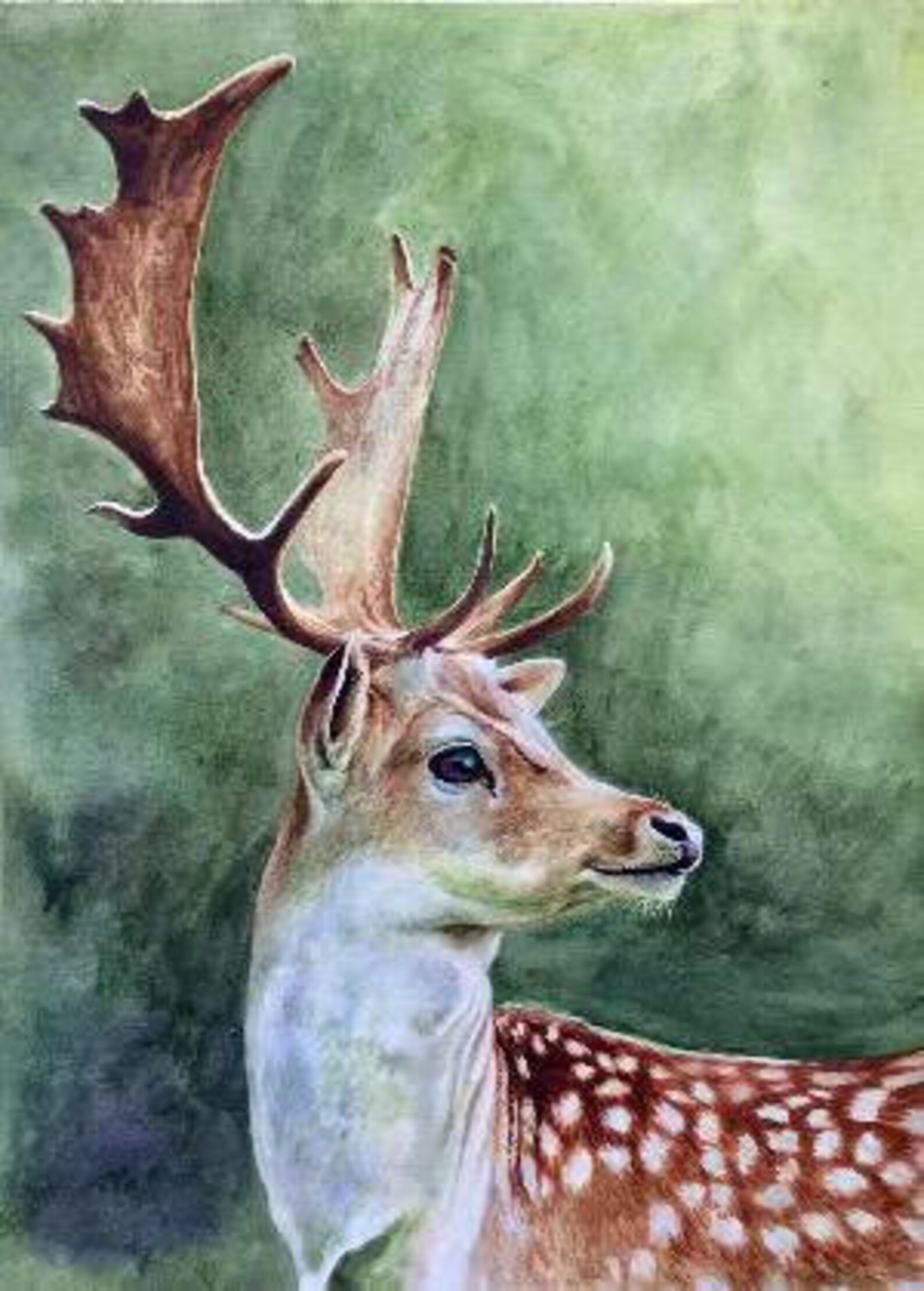Stag Original Watercolor Painting Etsy
