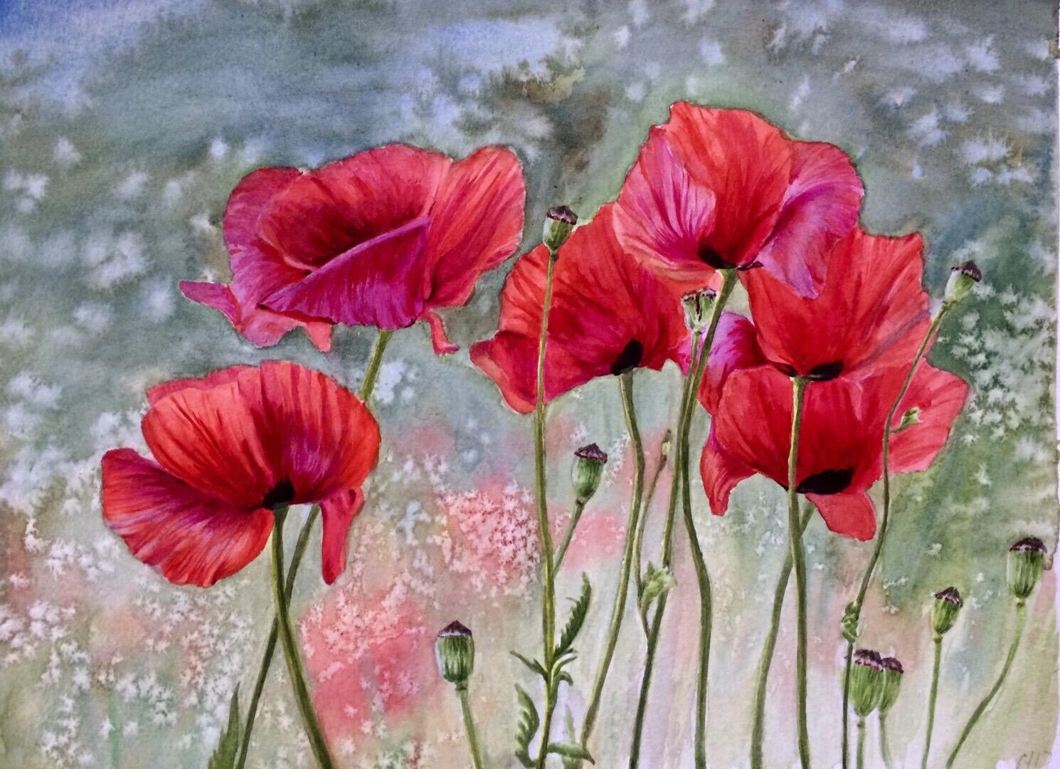Poppies Original Watercolor Painting Etsy