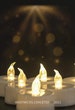 Flameless LED Realistic Flickering Candles 200+ Hours Electric Fake Candle in Warm White Ideal for Party, Wedding, Birthday, Home Decoration 