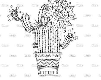 Cactus Mandala - .svg .png .dxf for Cricut & Silhouette Die Cutting Machines / Adobe, Design Space, Inkscape