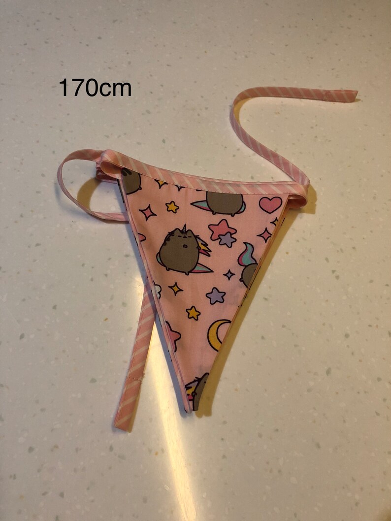 Pusheen Bunting Gift Flags Handmade Pink String - Etsy