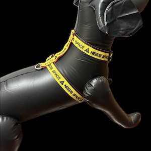 May include: Black inflatable dog with a yellow harness. The harness has the words "NEEDS SPACE" printed on it in black. The dog has a shiny, smooth surface and is set against a black background.