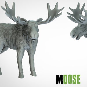 Moose - ideal for Dungeons and Dragons and other Tabletop RPGs/Wargaming/D&D