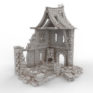 Zrujnowany Dom - Mróz - idealny do Dungeons and Dragons i innych gier RPG
