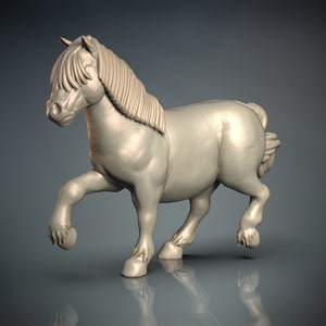 Pony - ideal for Dungeons and Dragons and other Tabletop RPGs/Wargaming/D&D