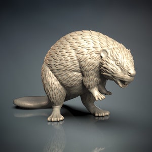 May include: A detailed, 3D printed model of a beaver, rendered in a light beige colour. The beaver is standing on all fours, with its tail extended behind it. The model captures the animal's distinctive features, including its large teeth and bushy tail.