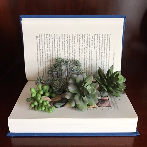 Succulent Book Planter Book Art Book Sculpture Etsy