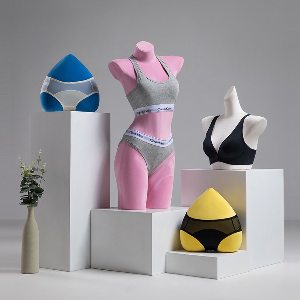 Female mannequin in underwear. Shop lingerie. 21963916 Stock Photo at  Vecteezy