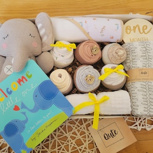 Delux Qute  gender neutral / girl / boy baby  box -  7 bodysuit cupcakes, swaddle blanket, hooded towel, infant toy,  picture props and more