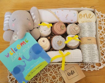 Delux Qute  gender neutral / girl / boy baby  box -  7 bodysuit cupcakes, swaddle blanket, hooded towel, infant toy,  picture props and more