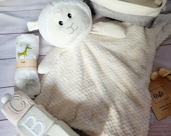 Gender Neutral Baby Gift Basket, Lamb Blanket, ABC Toy, Swaddle, baby gift, baby gift basket,  baby shower, newborn gift, baby toy