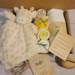 Qute Unisex / Gender Neutral / Boy / Girl Baby Gift Box , 2 Baby ...