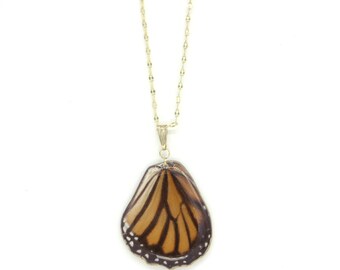 Collar de mariposa recubierto de resina