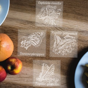Glass etched Coasters Beautiful Butterfly, Monarch, Fritilary, Black Swallowtail, and Tiger Swallowtail