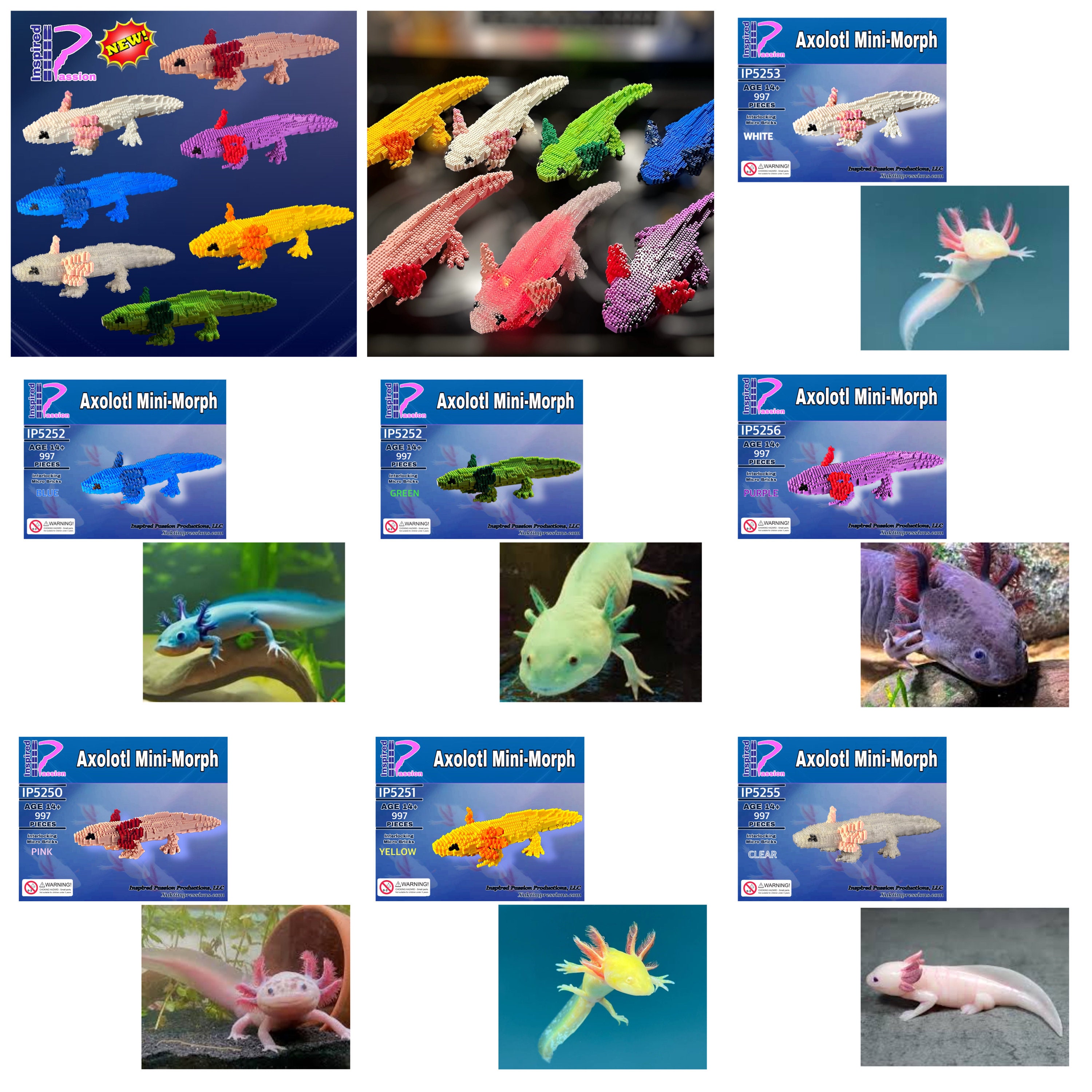 AXOLOTL Mini-morph Micro-block Model - Etsy