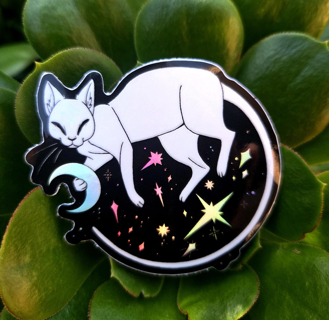 Star Collector Cat Sticker | Weatherproof and UV Holographic Vinyl - Etsy