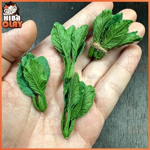 Puede incluir: Tres manojos de verduras de hoja verde, posiblemente hierbas o verduras, se muestran en una mano. Las hojas están dispuestas de forma natural y orgánica, con algunas hojas dobladas sobre otras. Los tallos son visibles y parecen frescos y vibrantes.