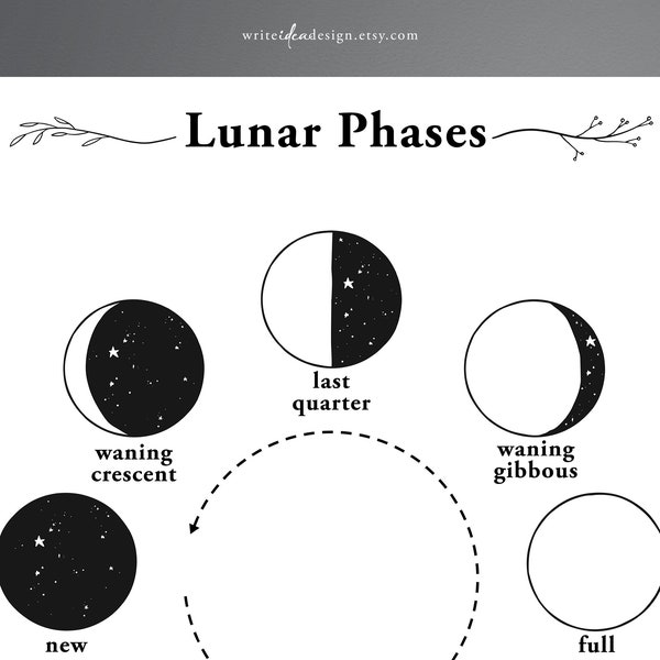 Printable Lunar Phase Chart - 8 Phases of the Moon (US Letter / A4). Moon Phase Chart.