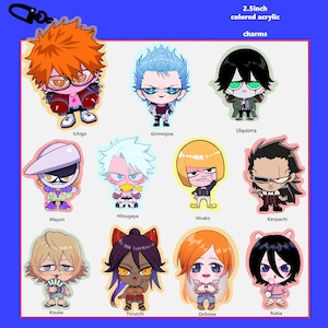 2.5'' Colored Acrylic Charms