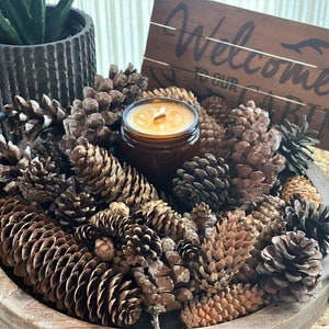 Pine Cone Blend (40 cones), pinecone assortment, natural decor, rustic, woodland, holiday decorations, Christmas, pine cone display