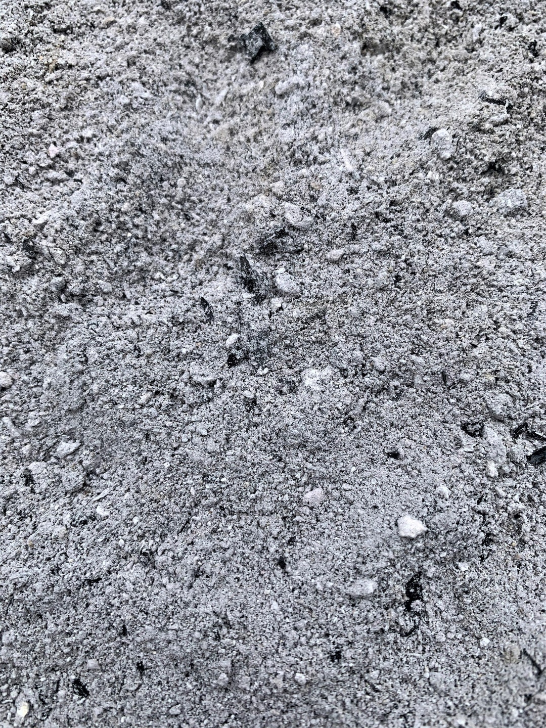 Sifted Wood Ash, Gardening, Soil Amending, Composting, and Much More Etsy