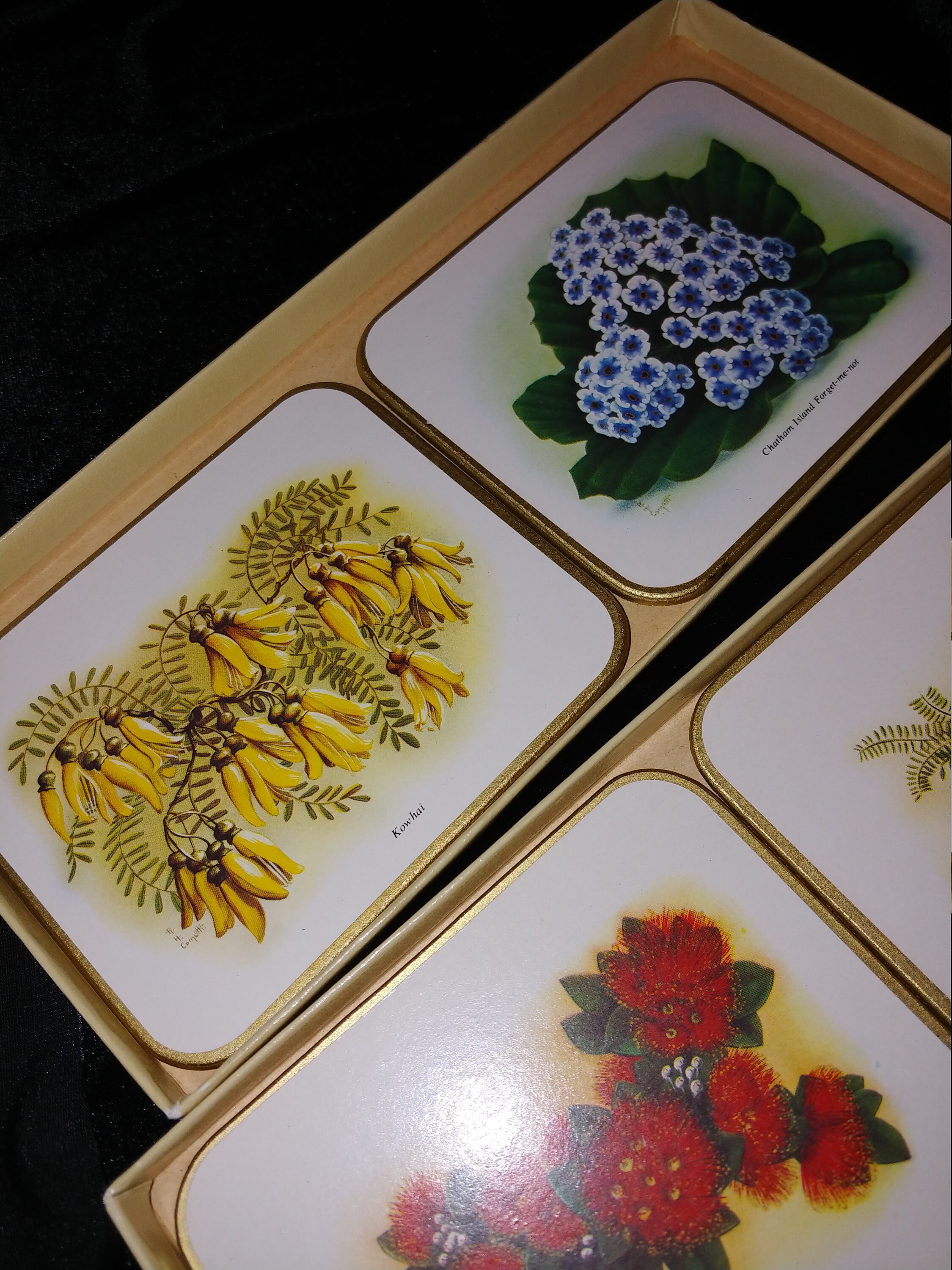 Vintage Jason Placemats Coasters Wild Flowers Cork Back Etsy