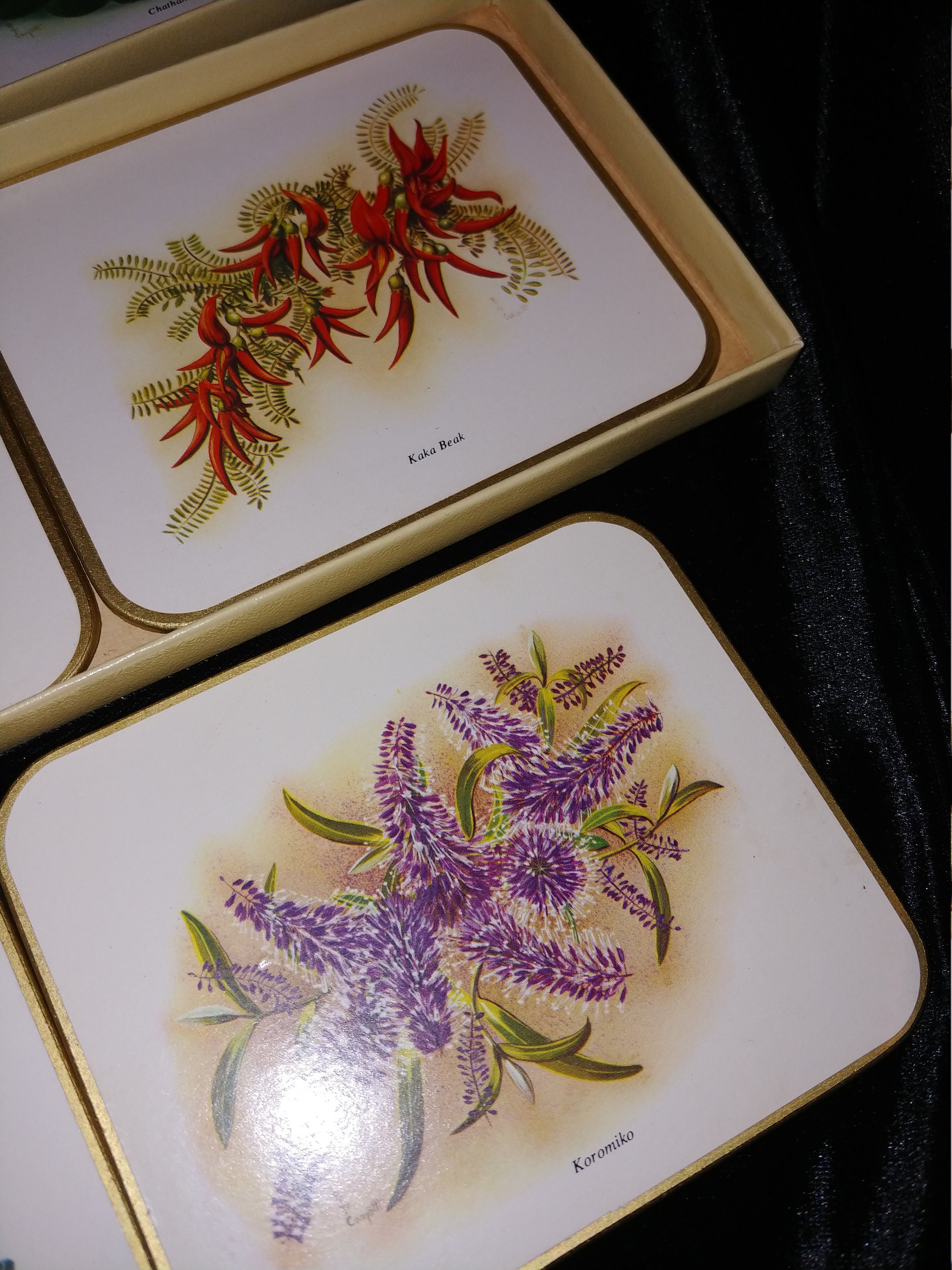 Vintage Jason Placemats Coasters Wild Flowers Cork Back Etsy