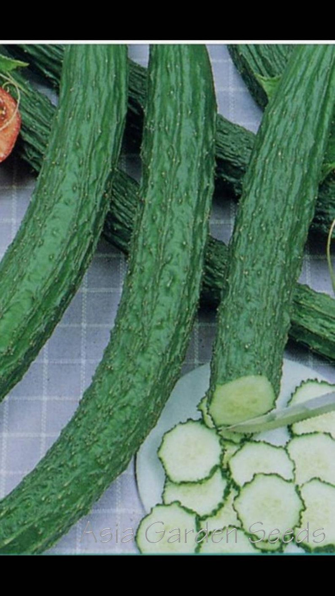 Белые длинные огурцы. Огурец 1. Огурцы сорт крокодил. Огурец рокки ф1 семинис. Большой огурец 17 см.