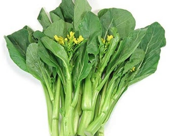Edible Rape Cải Ngọt Asian Vegetable Green Yu Choy seeds -1 OZ=13000 seeds Edible Rape Cải Ngọt Asian Vegetable Green Yu Choy seeds -1 OZ=13000 seeds