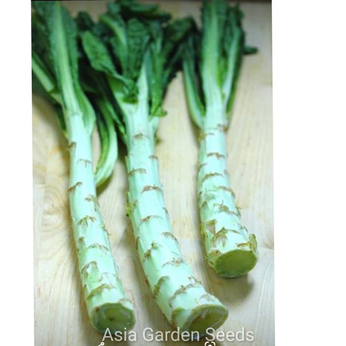 2g 1200 Chinese Stem Lettuce Celtuce Summer 38 Etsy