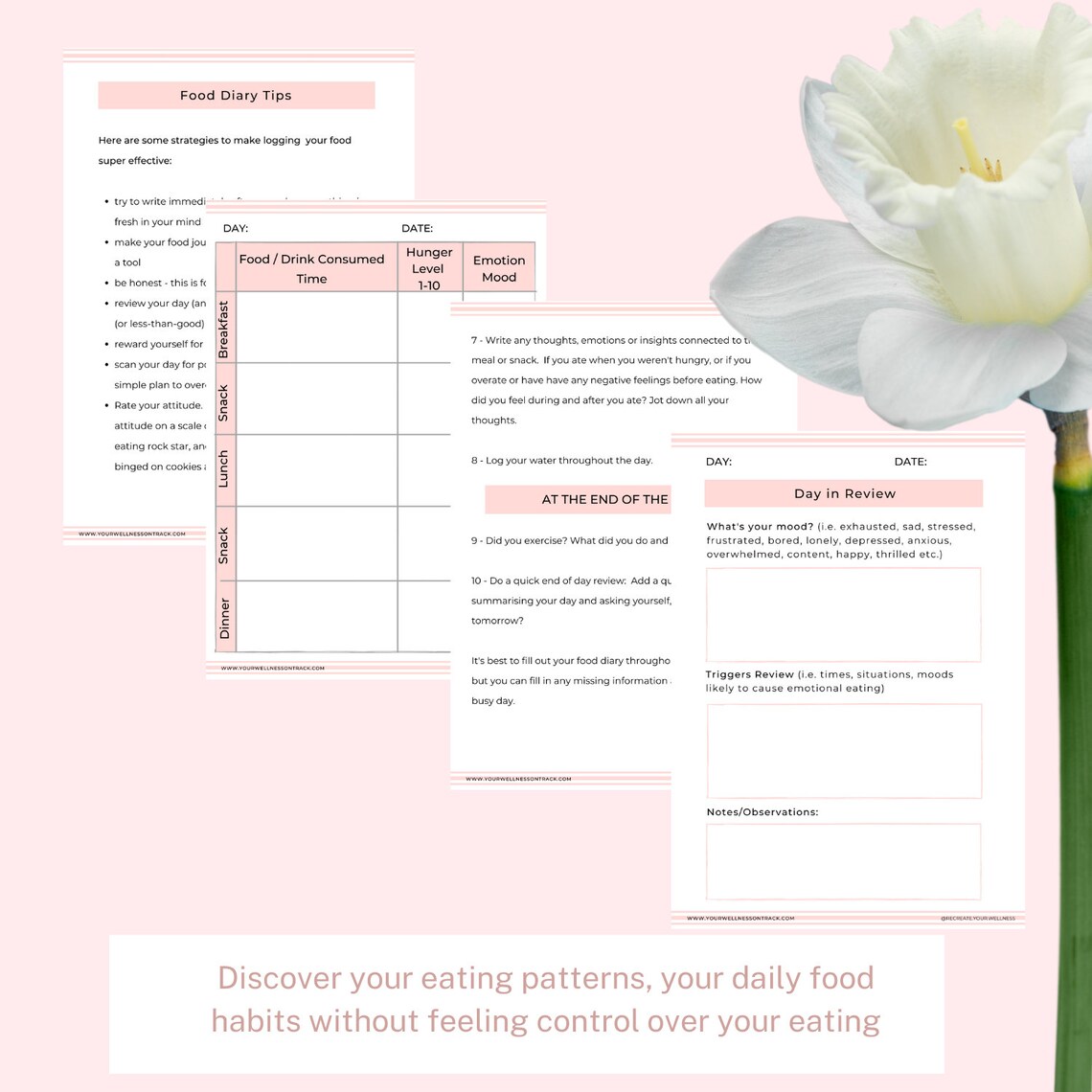 Food &amp; Mood Diary and Emotional Eating Quiz | Etsy