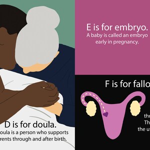 May include: An illustration depicting the stages of pregnancy. The first image shows a doula supporting a person giving birth. The second image shows an embryo in the womb. The third image shows a fertilized egg traveling through the fallopian tubes.