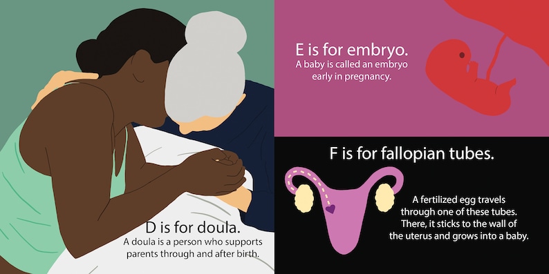 May include: An illustration depicting the stages of pregnancy. The first image shows a doula supporting a person giving birth. The second image shows an embryo in the womb. The third image shows a fertilized egg traveling through the fallopian tubes.