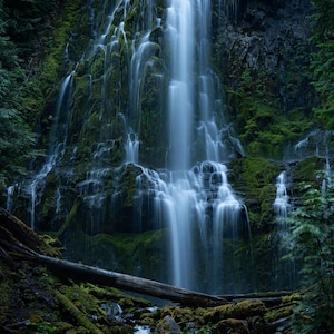 Può includere: Una cascata scenografica scende a cascata da una parete rocciosa, circondata da una rigogliosa vegetazione verde. L'acqua appare bianca e fluente, in contrasto con le rocce e gli alberi scuri e coperti di muschio. Alla base sono visibili tronchi caduti e detriti.