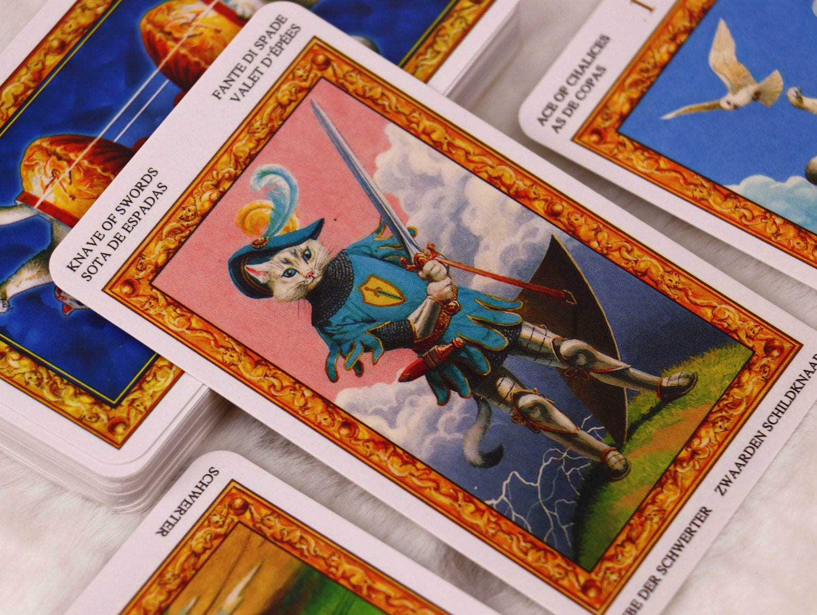 Cat tarot deck with book Tarot card deck 78 Tarot deck for Etsy