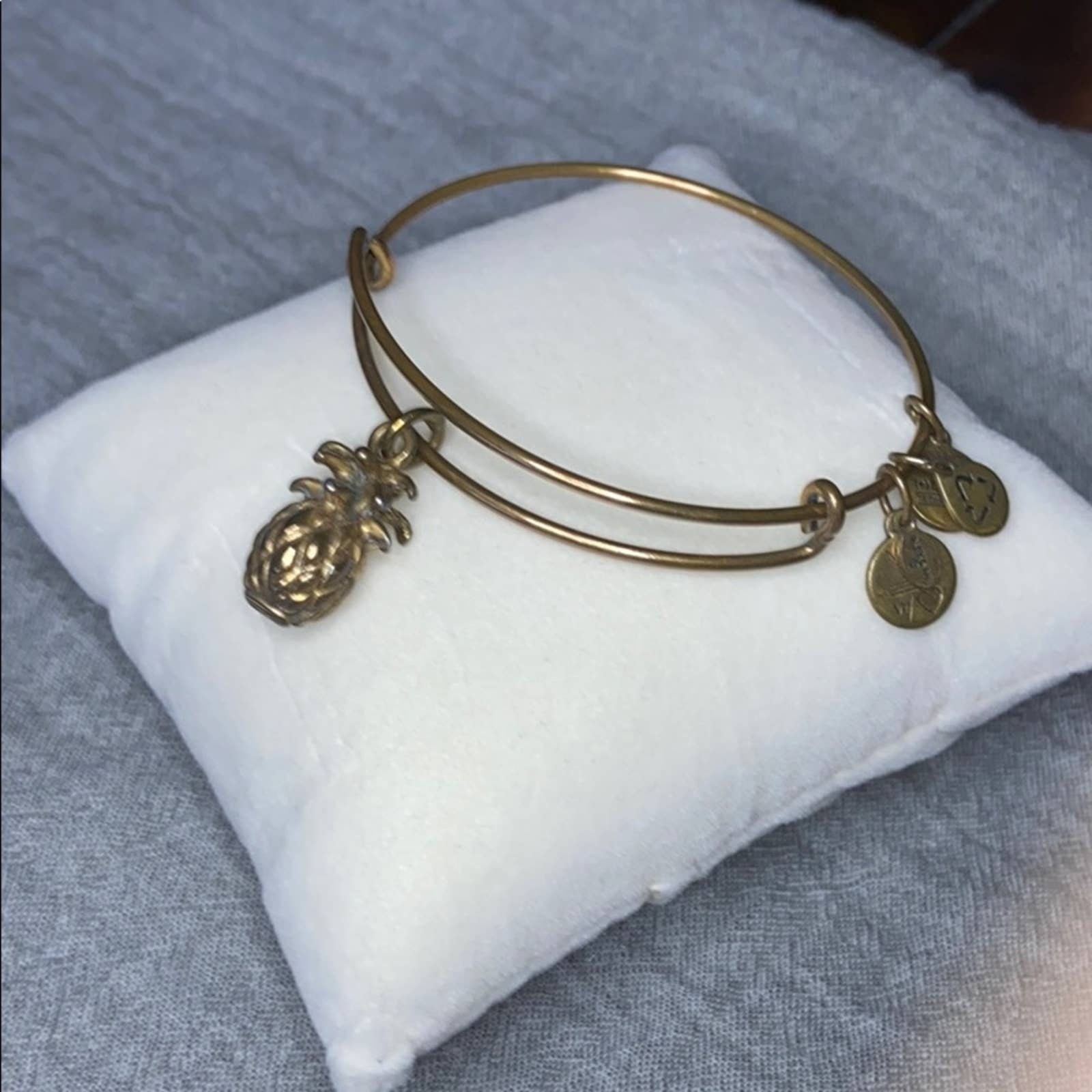 Alex Ani Pineapple Charm Bangle Bracelet Etsy