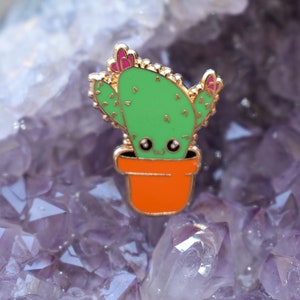 Minipin cactus