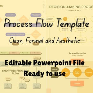 Editable Process Flow Template: Business Strategy PowerPoint (Digital Download)