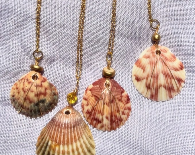 One-of-a-Kind Calico Sea Shell Wire Wrapped Necklace - 16 K gold shell necklace - Real Handmade Necklace Light Weight