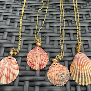 One-of-a-Kind Calico Sea Shell Wire Wrapped Necklace - 16 K gold shell necklace - Real Handmade Necklace Light Weight